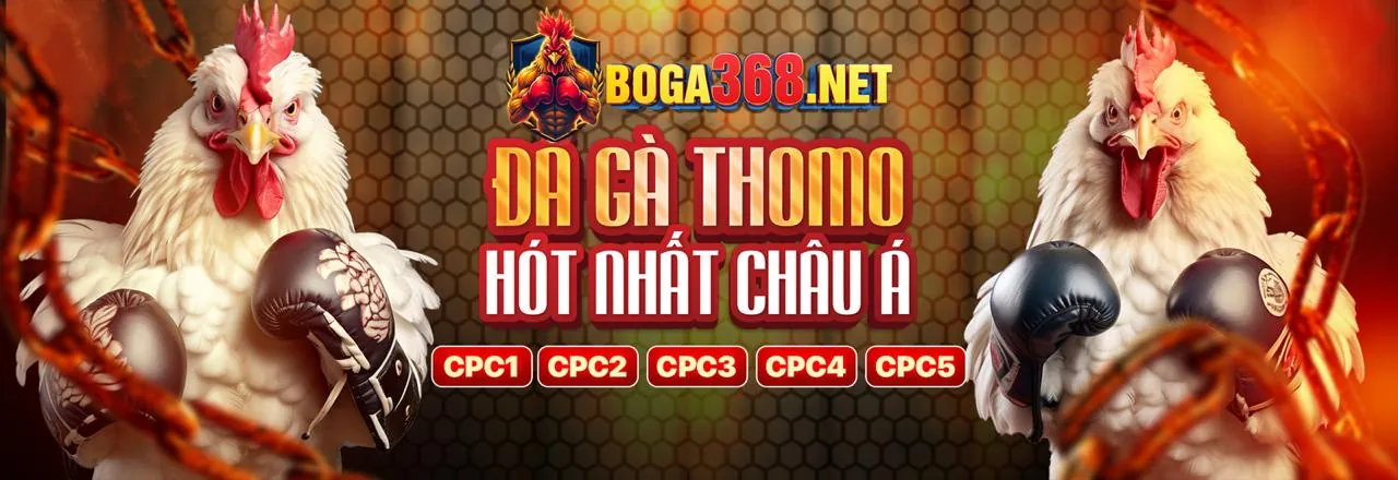 Tổng quan các môn thể thao phổ biến như bóng đá, bóng rổ, tennis và eSports trên nền tảng cá cược 5nem
