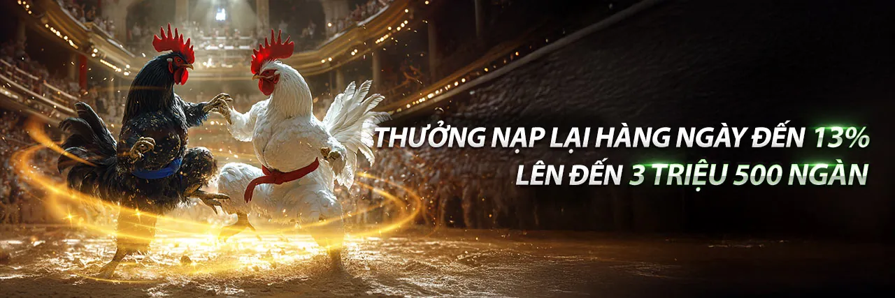 Hình ảnh chính blog 5nem link mới