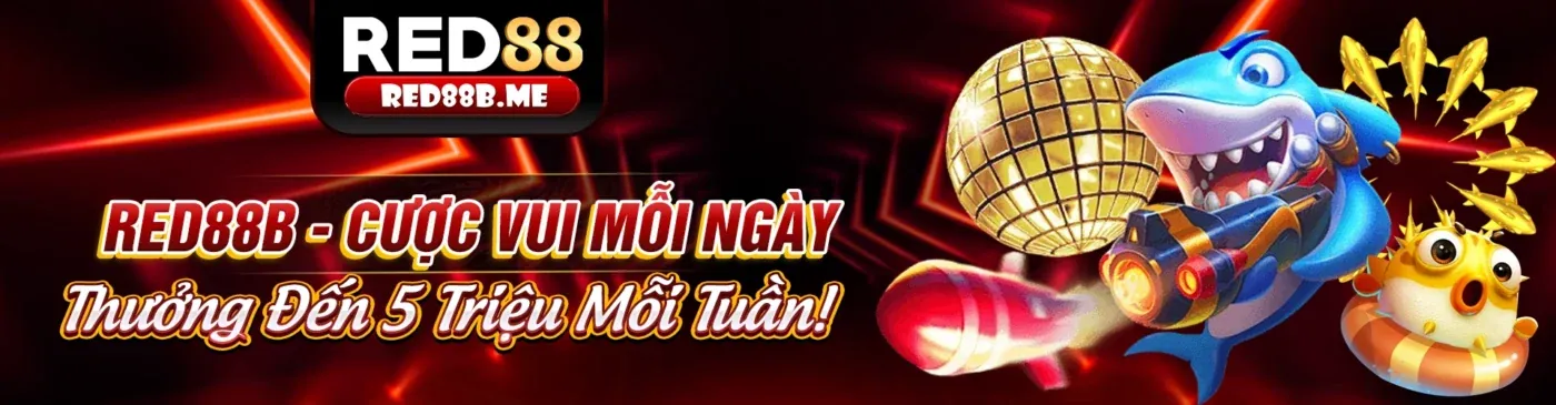 Tải xuống ứng dụng 5nem link mới